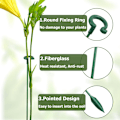 Miniatyrbild 3 av 5: Plantstöd, 30 stycken växtstödspinnar, 17cm/27cm/37cm återanvändbart växtstöd för inomhusbruk, fixering för växttillväxt, lämpligt för pioner