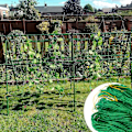 Miniatyrbillede 5 af 5: 5 x 1,8 meter have net nylon have net plante støtte ærtenet bønne frugt klatreplante agurk tomat blomst plante