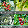 Pikkukuva 4 / 4: Anti Bird Netting, 2kpl 4*10m Vihreä Puutarha Bird Netting Kasvien Suojaverkko