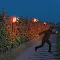 Miniatyrbillede 4 af 5: Solar vandtæt lysalarm 129DB dummy alarmsystem med blinkende lys, lyde af skud og lydeffekter af hundegøen (rød)
