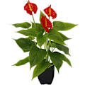 Miniatyrbild 2 av 2: Hög simulering anthurium blomma bonsai, bordsdekoration