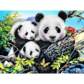 Pikkukuva 1 / 5: Timanttimaalaus (30*40cm) 5D DIY Timanttimaalaus Panda Diy Täysi Timanttikristalli Rhinestone-maalaus Koti Dekoraatio