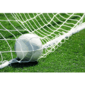 Miniatyrbillede 4 af 5: Fodboldmål Net (3*2m), Polyethylen Fodbold Fodbold Net Real Størrelse Fodboldmål Stang Net Udskiftning til Sportskamp Træning