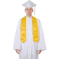 Miniatyrbillede 2 af 5: Stola Voksen Universitets Diploma Bachelor Dåb Præst Stjålet Præst Guld