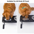 Miniatyrbillede 4 af 4: Langsomt foder til hunde, indsats til hundeskål [19 blæksprutte-sugekopper] Super fast hundeskål til langsom spisning [kan skæres til] til store og mellemstore hunde, kompatibel med