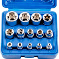 Pikkukuva 2 / 5: Avainten paino ja kärki, 14 kpl Torx naaras E4-E24 E-Torx kuusiokoloavaimia
