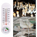 Miniatyrbild 4 av 5: Växthus Termometer Hygrometer, Termometer Min Max Min Klassisk Design Trädgårdsväxt Digital Temperatur Luftfuktighet Vägg Hacc