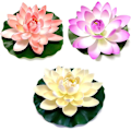 Miniatyrbillede 4 af 5: Kunstig Lotus Kunstige Dam Planter Flydende Dam Ornamenter Simulation Vandlilje Blomst Dam Dekoration Realistisk Lotus til Dam Pool Vand Dec