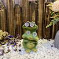 Miniatyrbillede 2 af 4: Havedekoration Frø Udendørs Solstatue