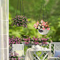 Miniatyrbillede 3 af 5: Sæt med 6 sorte ophængskæder til kurve med kroge, hængende blomsterpotteskæder, 3-punkts ophængskæder, plantekasseophængskæder, fuglefoderautomater