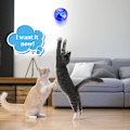 Miniatyrbild 3 av 3: 6 st LED-belysta kattbollar för spännande lek - Interaktiv leksak för katt och hund