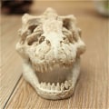 Miniatyrbillede 5 af 5: Dekorationsakvarium akvariedekoration harpiks simulation dinosaur hoved deco akvarium til fisk firben krybdyr skjul hule dekoration til akvarium