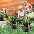 Miniatyrbillede 5 af 5: Opgraderede Jordbær Dyrkningsposer, Filt Jordbærkrukke med 6 Side Dyrkningslommer, 7 Gallon Plantepotter, Ikke-Vævet Stof Åndbar Bærbar til Jordbær