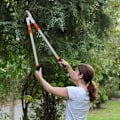 Miniatyrbilde 4 av 5: Robust teleskopisk grenkutter - 67 til 100 cm - Utrekkbar hagesaks for tregrener - Profesjonell teleskopisk trekk for