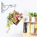 Miniatyrbild 2 av 3: 2 st Väggmonterade Växthängare Krokar Blomkrukshållare Väggfäste för Trädgårdsdekoration Balkong Lykta Grind Svart