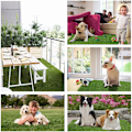 Miniatyrbilde 4 av 4: Kunstig hundegress for hund, kunstig plenmatte for å lære valpen renslighet, vaskbar plenmatte, gress for tiss for hundeavfall (50 × 70 cm)
