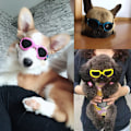 Miniatyrbillede 3 af 5: Hunde Goggles, Solbriller til kæledyr, Sammenfoldelige Hunde Goggles UV-beskyttelse Solbriller