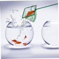 Miniatyrbild 4 av 5: Fiskenät Set Grön 4 st Grön Tillbehör Fiskenät Set Sopnät Fiskenät Fisk Fiskenät Sopnät