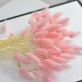 Miniatyrbillede 4 af 4: Naturlige tørrede blomster 60 stk. tørrede pampe pampe forkælede stængler kaninurt til bryllupsdekorationer buket blomsterarrangementer guirlande af nol indretning derhjemme