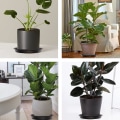 Miniatyrbillede 5 af 5: Sæt med 5 (hvide) blomsterpotteskåle 25 cm runde bakker i plast til blomsterpotter - til indendørs og udendørs brug