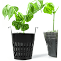 Miniatyrbillede 5 af 5: 10 stk. Krogplante Kurv Hydroponisk Planter Gelænder Plantevækst Kurv Pp Spand Kurv Sort Selvudsprøjtning