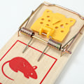 Miniatyrbillede 3 af 5: Batch af 2 musefælder Type swatter Lille træ