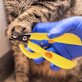 Miniatyrbilde 4 av 4: 1 Pakke Pet Paw Trimmer - Med LED-lys