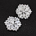 Miniatyrbilde 3 av 5: 2 farger Rhinestone skoklips, elegante farger legering blomst krystall skospenne klips for sko dekorasjon spenne bryllupstilbehør