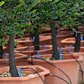 Miniatyrbillede 5 af 5: Automatisk vandingssystem Ringened drikkeanordning Have Havevanding Terrasse Tud Tud Potte Potter Ferier (til 2 potter i potter)