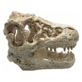 Miniatyrbillede 1 af 5: Dekorationsakvarium akvariedekoration harpiks simulation dinosaur hoved deco akvarium til fisk firben krybdyr skjul hule dekoration til akvarium