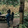 Pikkukuva 3 / 5: Puunkaatopaikka, mustat viiltävät hihnat räikällä ja koukulla metsästysvarusteille puuhun metsästysvarusteiden ripustusta varten (1 hihna 6 koukulla)