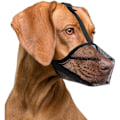 Miniatyrbillede 1 af 5: (L, sort) 1 stk., åndbar mundkurv til små, mellemstore og store hunde for at forhindre hunde i at spise, bide og tygge.