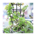 Miniatyrbillede 3 af 4: Klatreplante Støtte, 6 Stykker, Stabelbar og Slidstærk Klatreplante Espalier, Stærk og Robust, Langtids Genanvendelig, Hjælper Planter med at Vokse Sundt