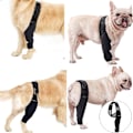 Miniatyrbillede 5 af 5: Knæstøtte til Hunde - Hundestrømper til Ben, Forreste og Bageste, Albuebeskytter, Genopretning af Gigt eller Osteoporose, Sort (S)