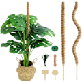 Miniatyrbillede 1 af 5: 4-pak Have-Støtter til Monstera deliciosa, Klatrestativer, Bøjbare Formbare Mosstænger, Pothos og Klatreplanter