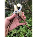 Miniatyrbilde 5 av 5: Hagebeskjæringssaks, hagesaks laget av japansk stål SK4, hagesekatør med god arbeidskapasitet for tykke grener og bambus (woo