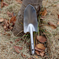 Miniatyrbillede 2 af 4: Transplanter Høj kvalitet havearbejde skovl rustfrit stål blomst skovl lille skovl have skovl have havearbejde værktøjer