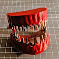 Miniatyrbillede 1 af 4: Tandprotese-borholder i harpiks med tandmodel-pynt