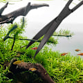 Miniatyrbillede 4 af 5: Akvatiske plantesakse i rustfrit stål, bølgesakse til akvarieplanter, sort