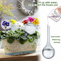 Miniatyrbillede 3 af 5: Sæt med 4 globusser (store) - Transparent automatisk vanding i plastik vandingskugle 8 cm i diameter system havevanding