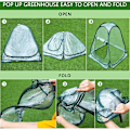 Miniatyrbilde 5 av 5: Mini Pop Up drivhus - Lite vintertelt for planter - Blomsterpotte - Mini drivhus - Vinterbeskyttelse for planter (70 x 70 x 80 cm)