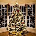 Miniatyrbild 2 av 5: Silverfärgad Sapin Stepped LED Ljusslinga för julgransdekoration - (Varmt ljus) Längd: 5m