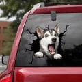 Miniatyrbillede 5 af 5: 4 Pak 3D Hunde Stickers - Husky - Fransk Bulldog Køleskabs Stickers - 30cm x 30cm