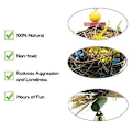 Pikkukuva 2 / 5: Lintujen lelut undulaateille, neitokakaduille, conureille, inseparableille, ruokaa etsiville linnuille, silppuamiseen, merikaisla, erilaisilla lintuleluilla
