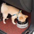 Miniatyrbillede 3 af 5: Grå l vand til hunde på farten 750ml, stænksikker foderskål