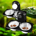 Miniatyrbillede 1 af 5: Foder skål krybdyr feeder, dobbelt krybdyr foderskåle plast sugekop feeder, til krybdyr, insekter, edderkopper, gekkoer, vivarier 2PCS