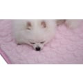 Miniatyrbillede 2 af 5: Iskold silkekøler til hunde 55*70cm Køler til kæledyr Køletæppe til hunde og katte Soveunderlag til kenneler,