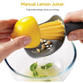 Miniatyrbillede 4 af 5: Citruspresser med frøfilter, ergonomisk mini citronpresser værktøj til citron appelsin frugt