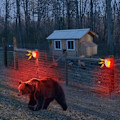 Miniatyrbillede 5 af 5: Solar vandtæt lysalarm 129DB dummy alarmsystem med blinkende lys, lyde af skud og lydeffekter af hundegøen (rød)