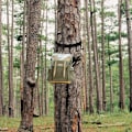 Pikkukuva 5 / 5: Puunkaatopaikka, mustat viiltävät hihnat räikällä ja koukulla metsästysvarusteille puuhun metsästysvarusteiden ripustusta varten (1 hihna 6 koukulla)